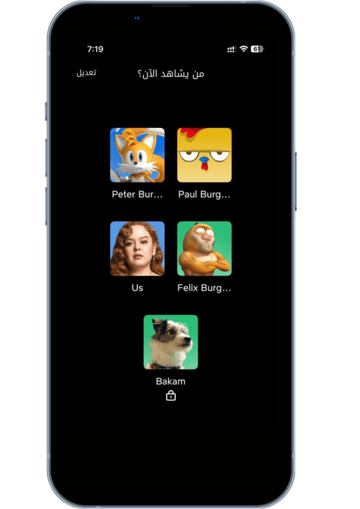 Abonnement Netflix pour famille